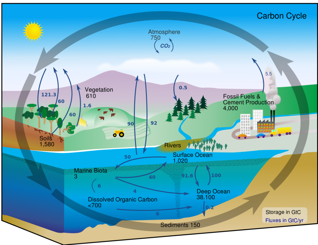 Carbon Cycle Game Science Math Investigative Learning Experiences 