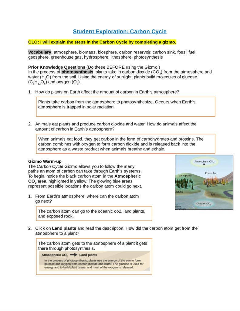 Carbon Cycle Gizmo Google Docs Student Exploration Carbon Cycle 