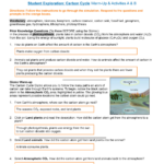 Carbon Cycle Gizmos SE Sheet Warm Up Activities A B 4 Name