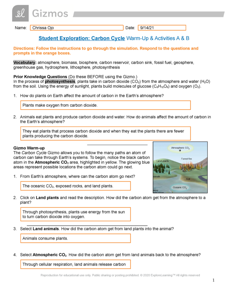 Carbon Cycle Gizmos SE Sheet Warm Up Activities A B 4 Name 