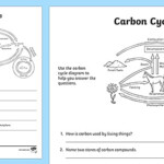 Carbon Cycle Worksheet Activity Earth And Space Science