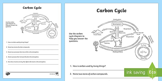 Carbon Cycle Worksheet Activity Earth And Space Science