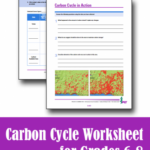 Carbon Cycle Worksheet Download Project Learning Tree
