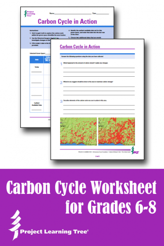 Carbon Cycle Worksheet Download Project Learning Tree