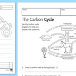 Carbon Cycle Worksheet Secondary Science teacher Made