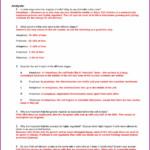 Cell Cycle And Cancer Webquest Worksheet Answers Worksheet Resume
