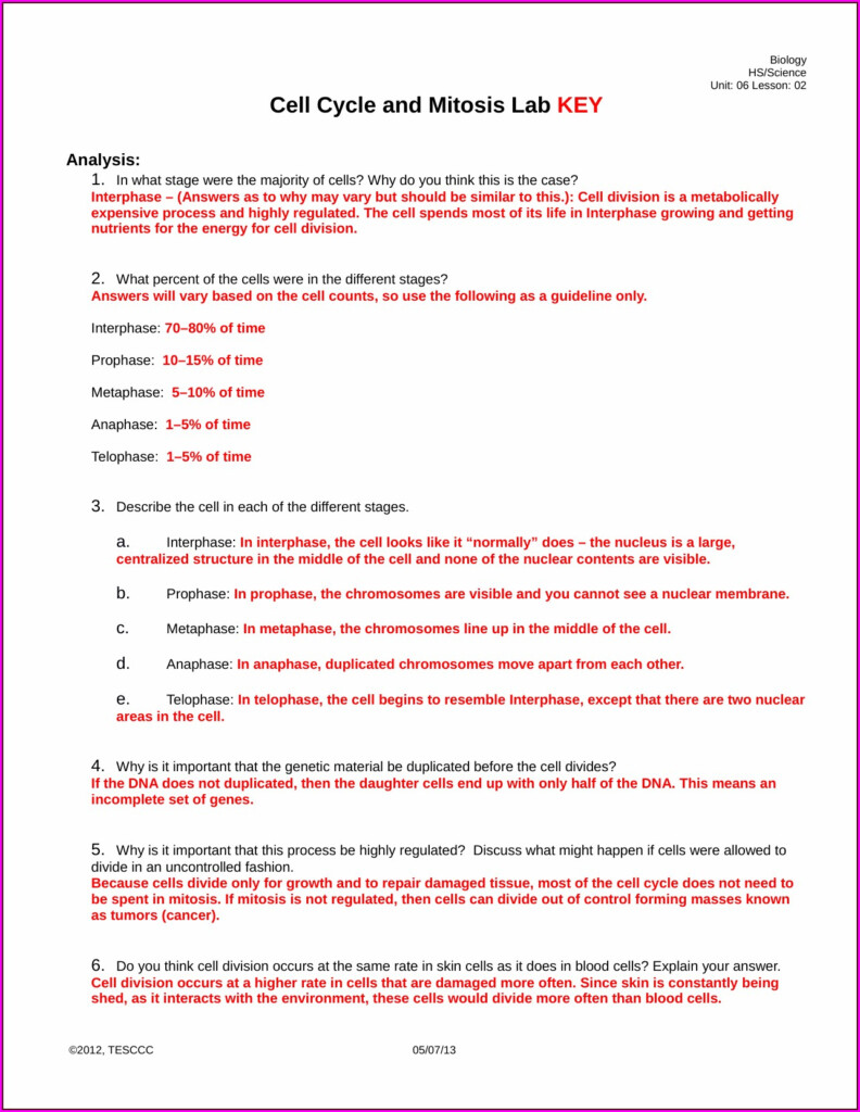Cell Cycle And Cancer Webquest Worksheet Answers Worksheet Resume 
