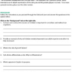 Cell Cycle And Cancer Worksheet Answers Db excel