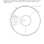 Cell Cycle Coloring Worksheet