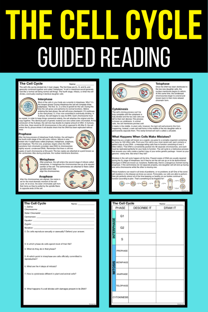 Cell Cycle Interactive Science Notebook Cover Middle School Science 