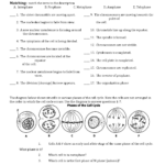 Cell Cycle Worksheet Answers Biology Classroom Biology Lessons Mitosis