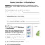 Cell Energy GIZMO