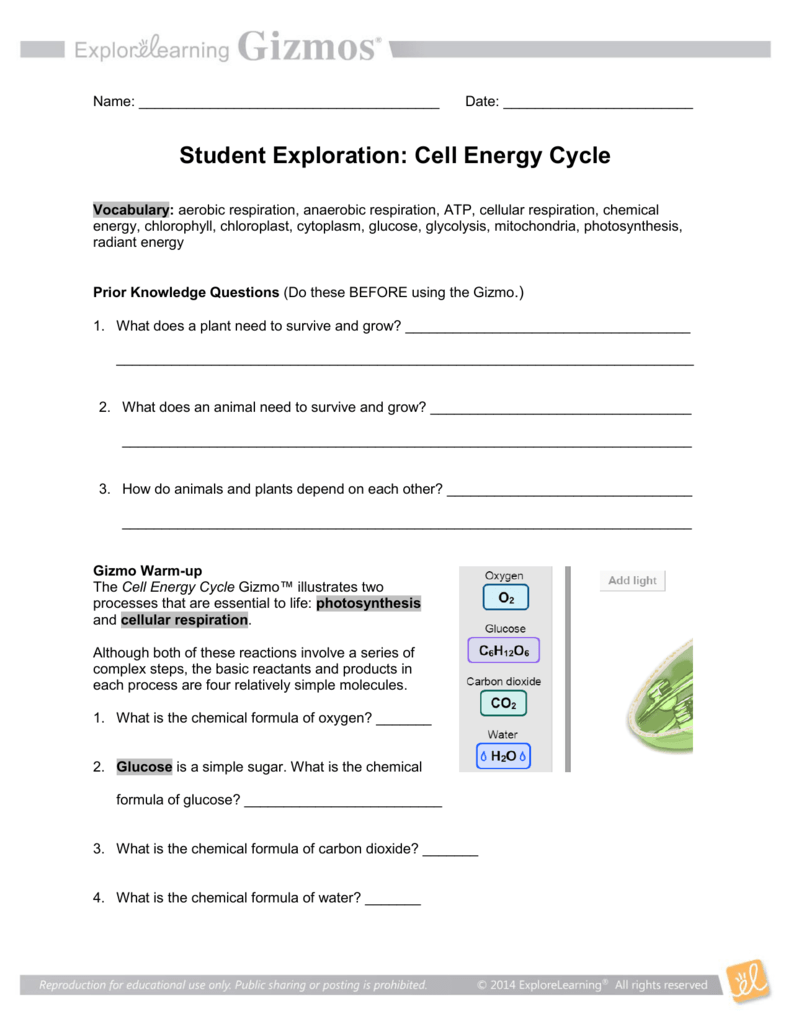 Cell Energy GIZMO