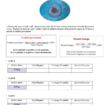 Cell Homeostasis Virtual Lab Worksheet Free Download Gambr co