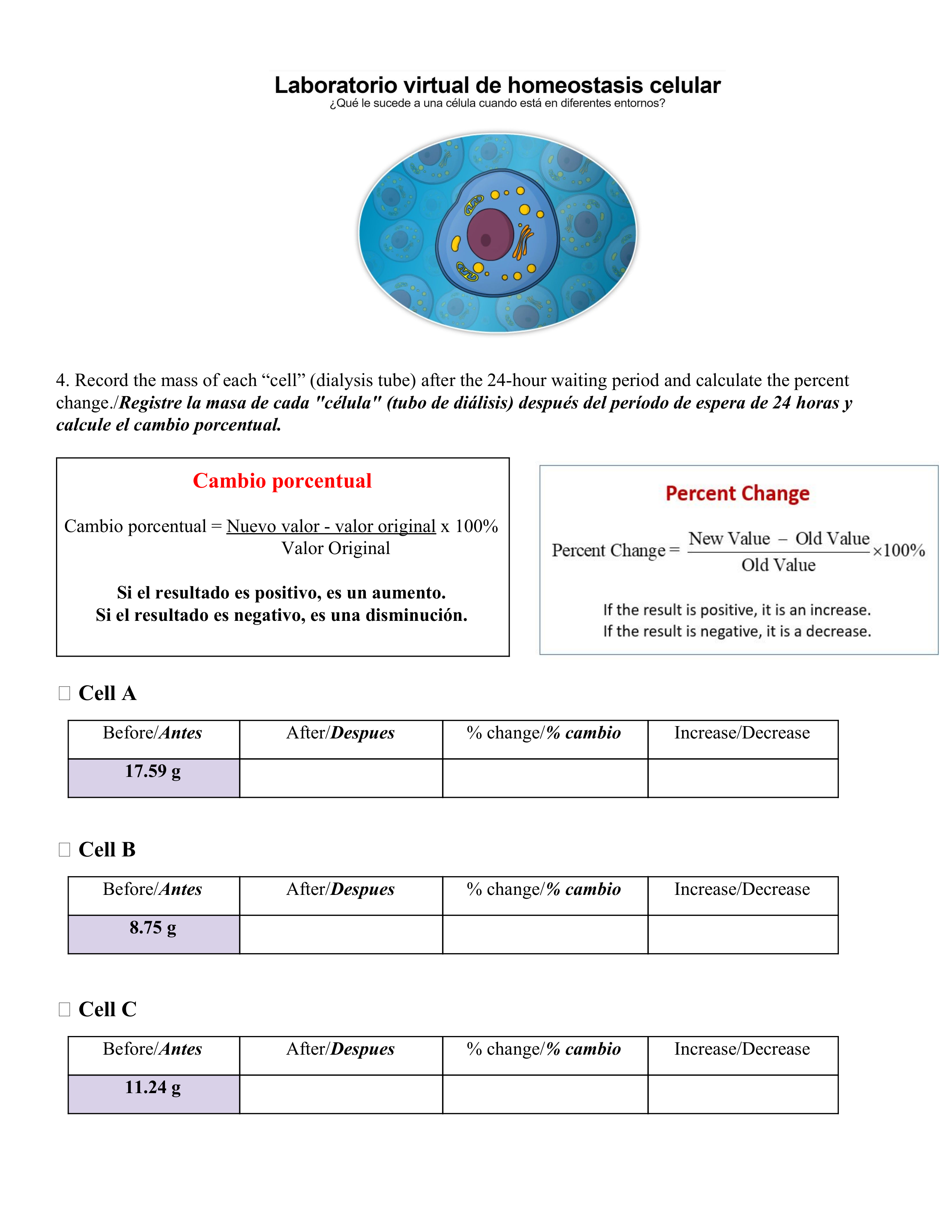  Cell Homeostasis Virtual Lab Worksheet Free Download Gambr co