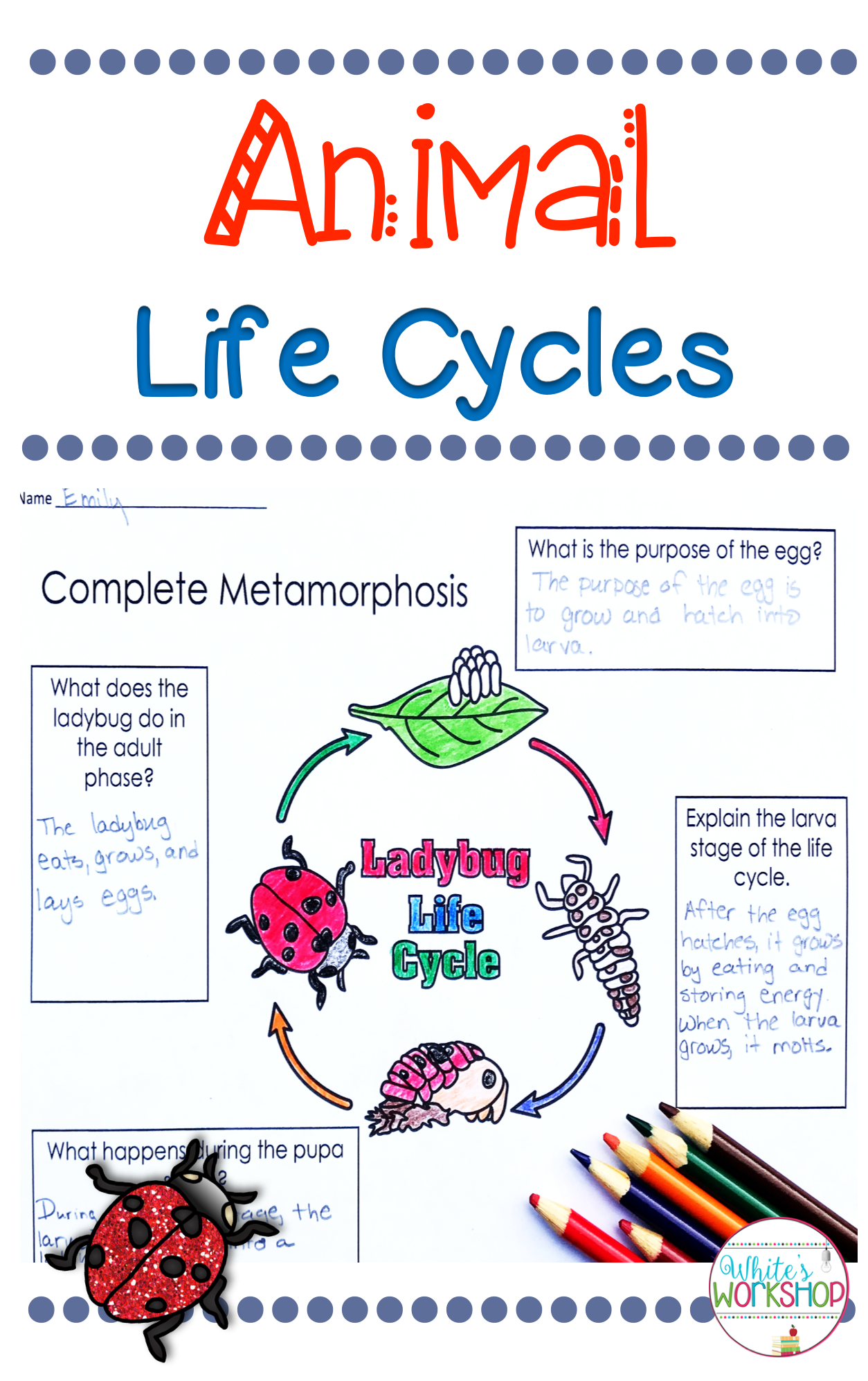 Check Out These Animal Life Cycle Activities For 3rd 4th And 5th