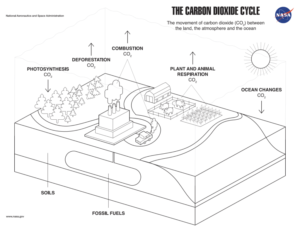 Coloring Page The Carbon Dioxide Cycle Climate Change Vital Signs 