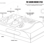 Coloring Page The Carbon Dioxide Cycle Climate Change Vital Signs