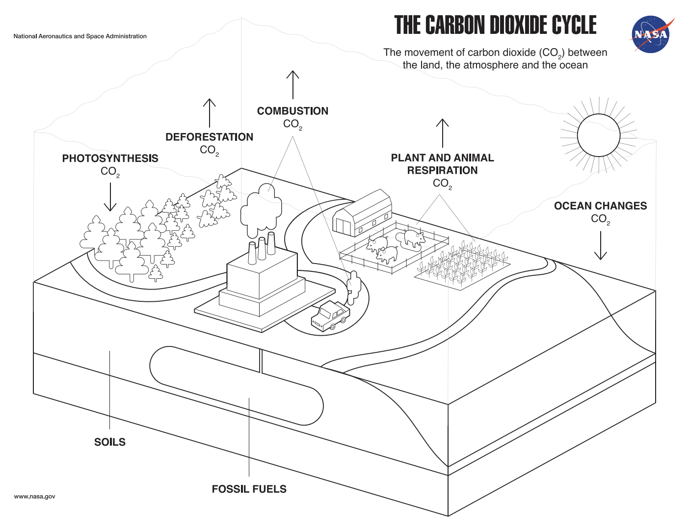 Coloring Page The Carbon Dioxide Cycle Climate Change Vital Signs 