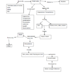 Concept Map Water Cycle Unit