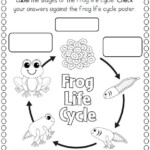 Crafts Actvities And Worksheets For Preschool Toddler And Kindergarten