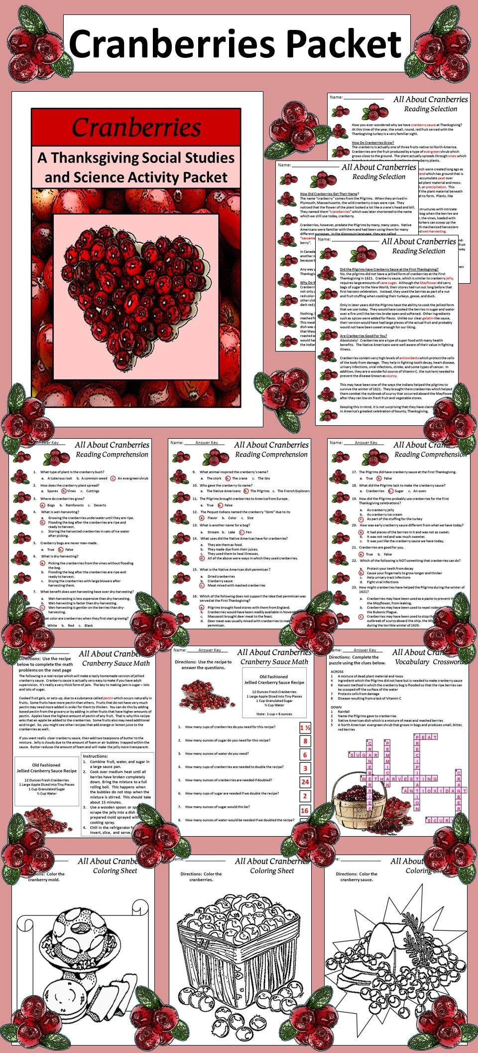 CRANBERRY TeachersPayTeachers Holiday Classroom Activities 