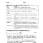 Cycles Of Matter Worksheet