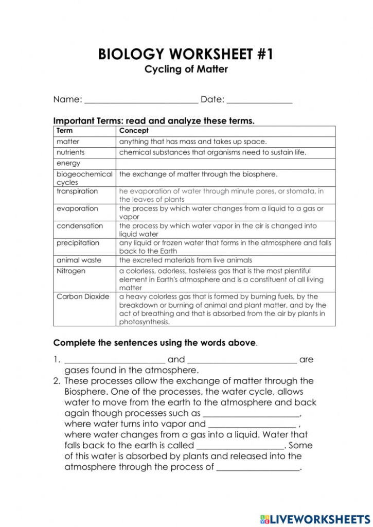 Cycles Of Matter Worksheet