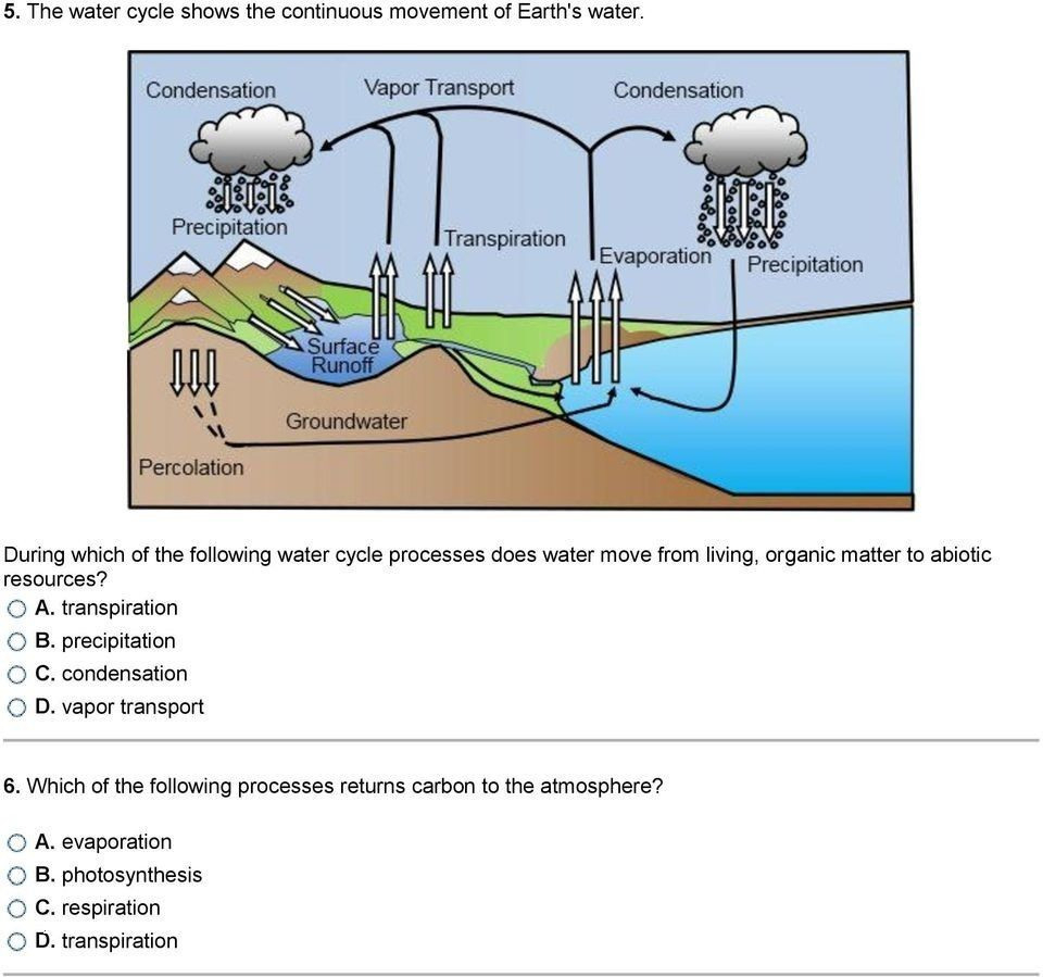 Cycles Of Matter Worksheet Answers Db excel