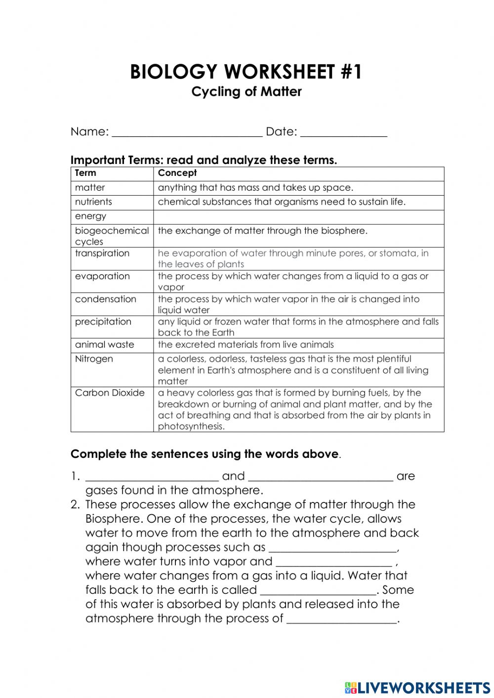 Cycles Of Matter Worksheet