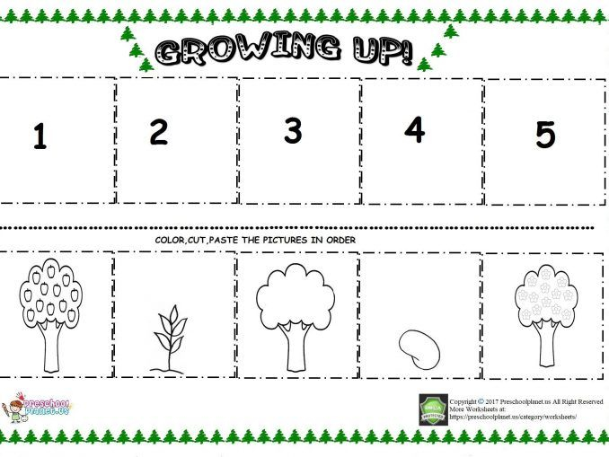 Easter Bulletin Board For Kids Preschoolplanet Tree Life Cycle 