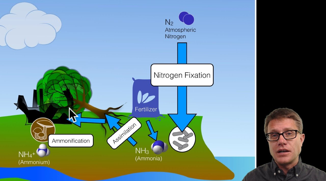 Ecology Concept 4 Biogeochemical Cycles Lessons Blendspace