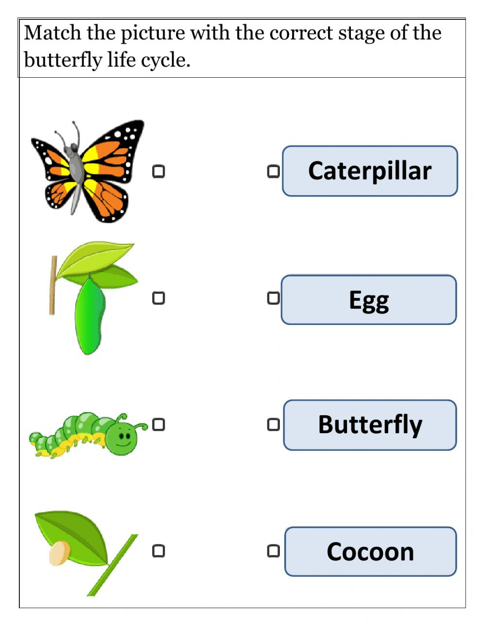 Ejercicio Interactivo De Life Cycle Of Butterfly