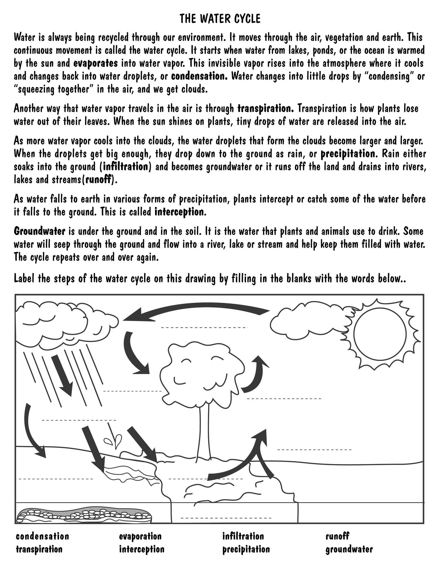 Fifth Grade Printable Water Cycle Worksheet Pdf Worksheet Now