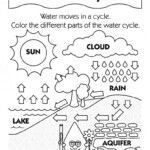 Fifth Grade Printable Water Cycle Worksheet Pdf Worksheet Now
