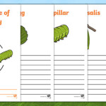 FREE Butterfly Life Cycles KS2 Workbook teacher Made