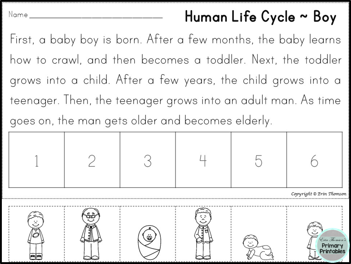 FREE Human Life Cycle Sequencing Story Boy And Girl Versions Included 