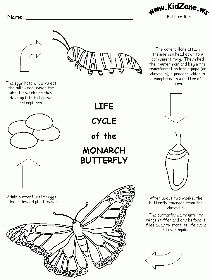 Free Printable Life Cycle Of The Monarch Butterfly Butterfly Lessons 