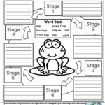 Frog Life Cycle Worksheet 1st Grade Printable Maths Sheets For Kids