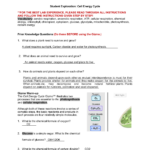 Gizmo Worksheet Answers Carbon Cycle Eartheable