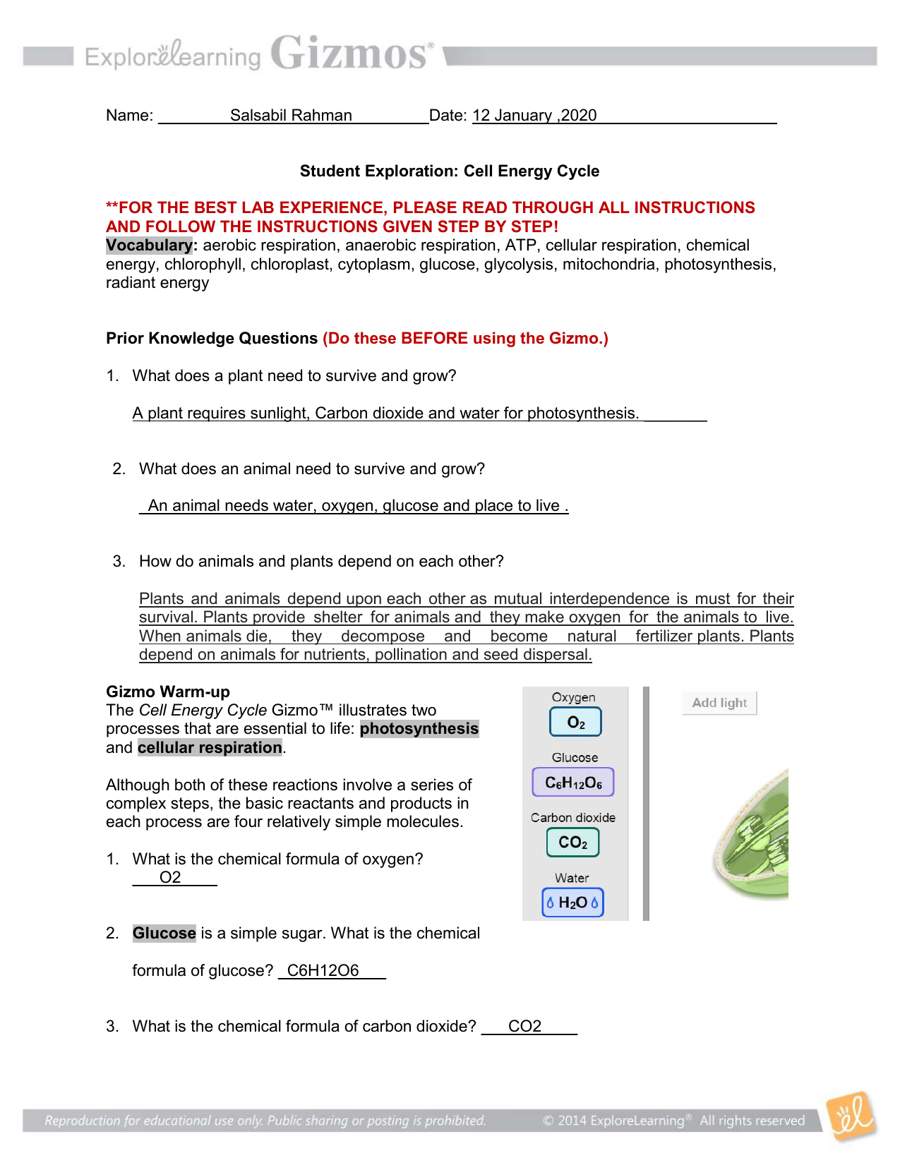 Gizmo Worksheet Answers Carbon Cycle Eartheable