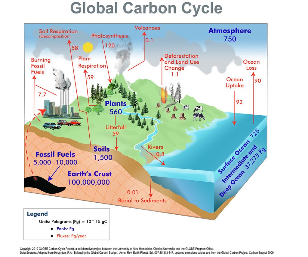 Global Carbon Cycle The Carbon Cycle Refers To The Continu Flickr