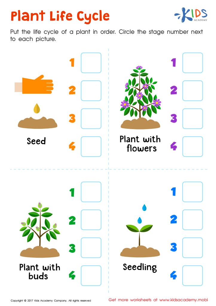 Grade 1 Plants Worksheets K5 Learning Plant Life Cycle Worksheet K5 