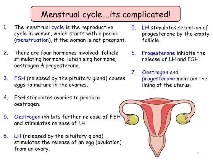 Hormonal Coordination Including The Role Of Negative Feedback GCSE 