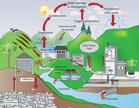 How Do Humans Effect The Water Cycle Example