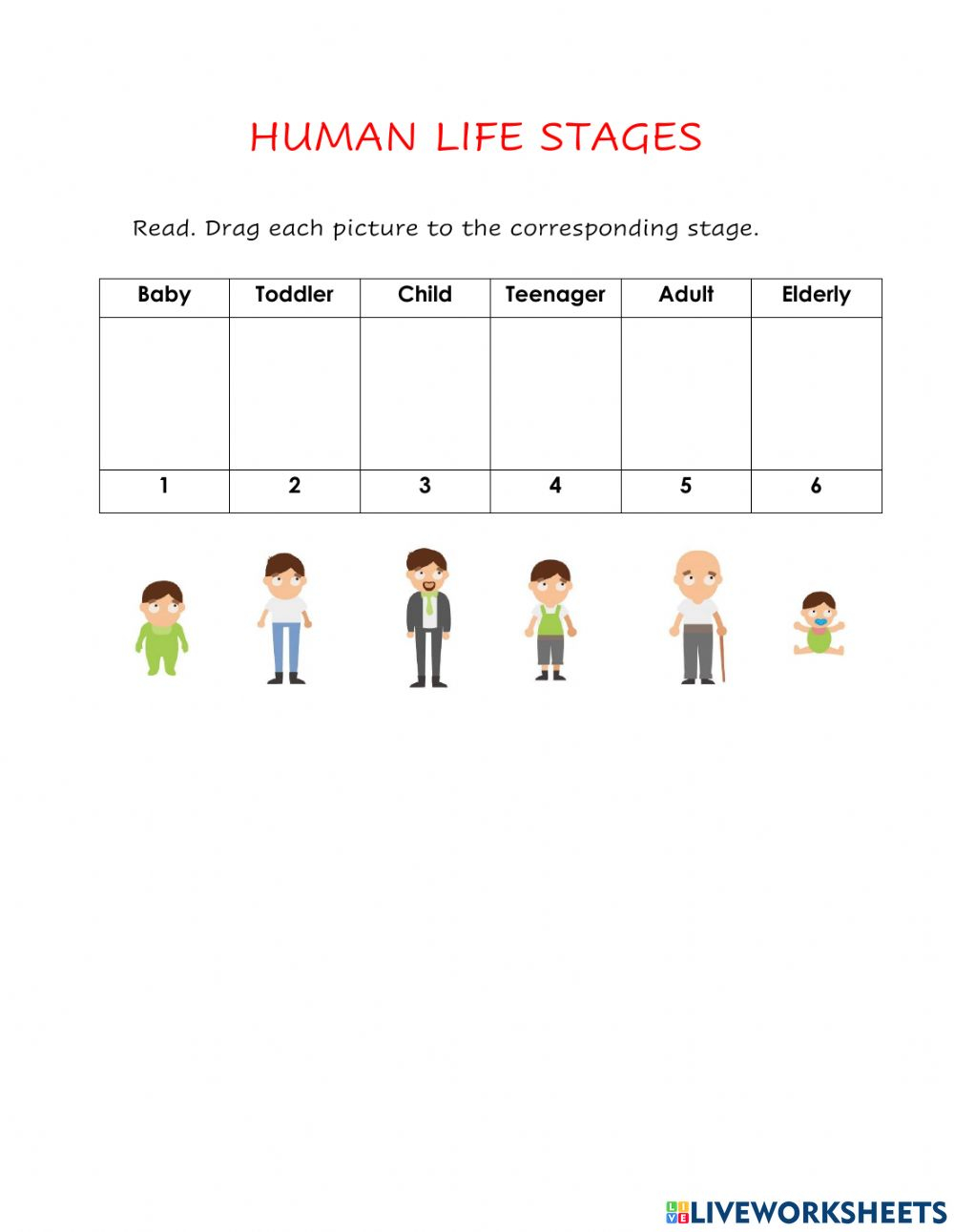 Human Life Cycle For Kids Worksheet Kamberlawgroup