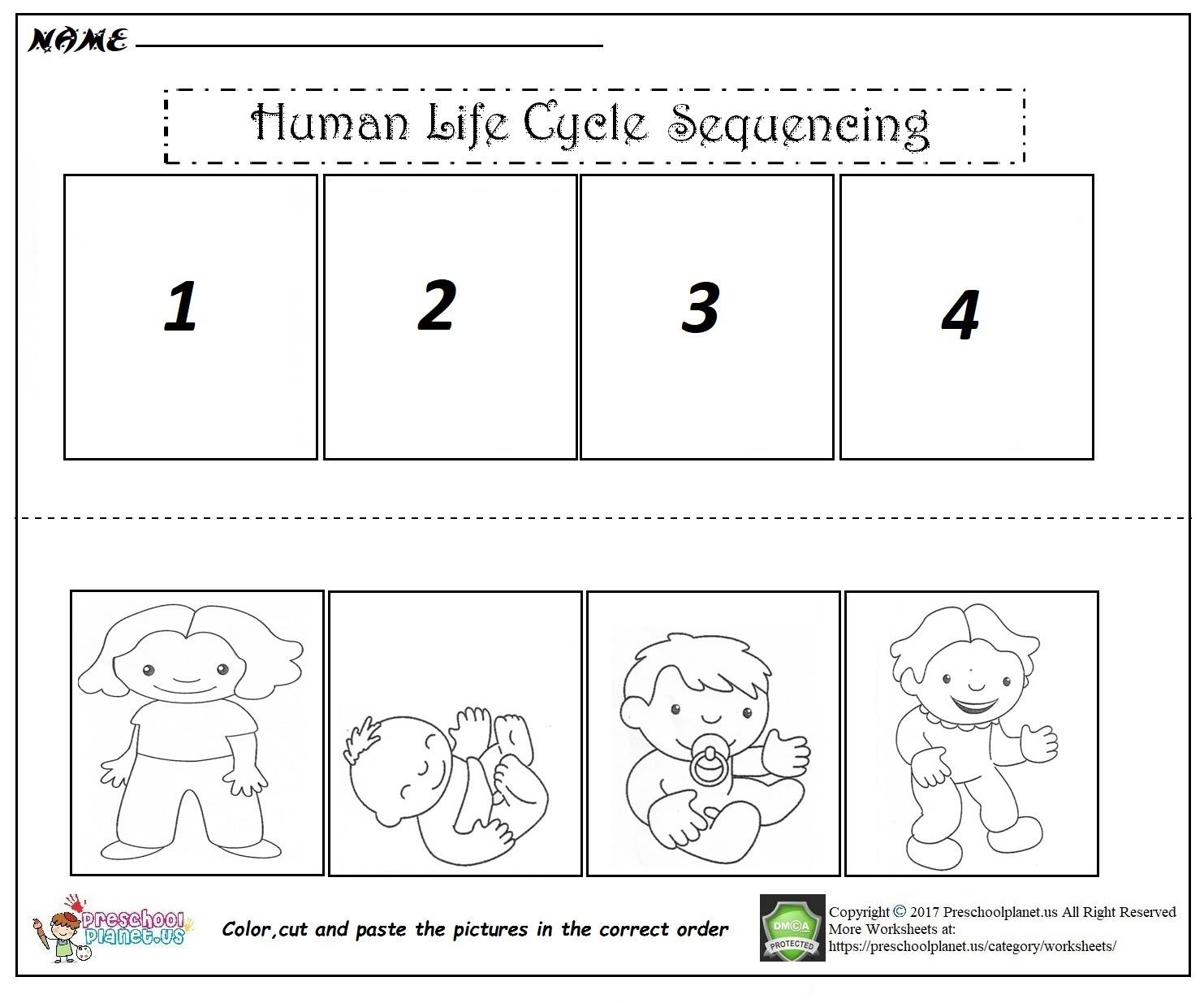 Human Life Cycle Sequencing Worksheet Preschoolplanet