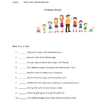 Human Life Stages Worksheet Human Life Cycle Life Cycle Stages Life