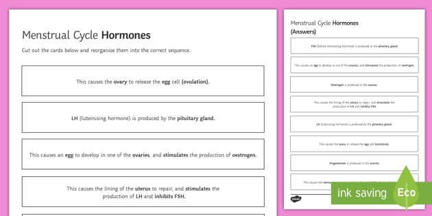 Human Menstrual Cycle Worksheet Menstrual Cycle Biology Notes For