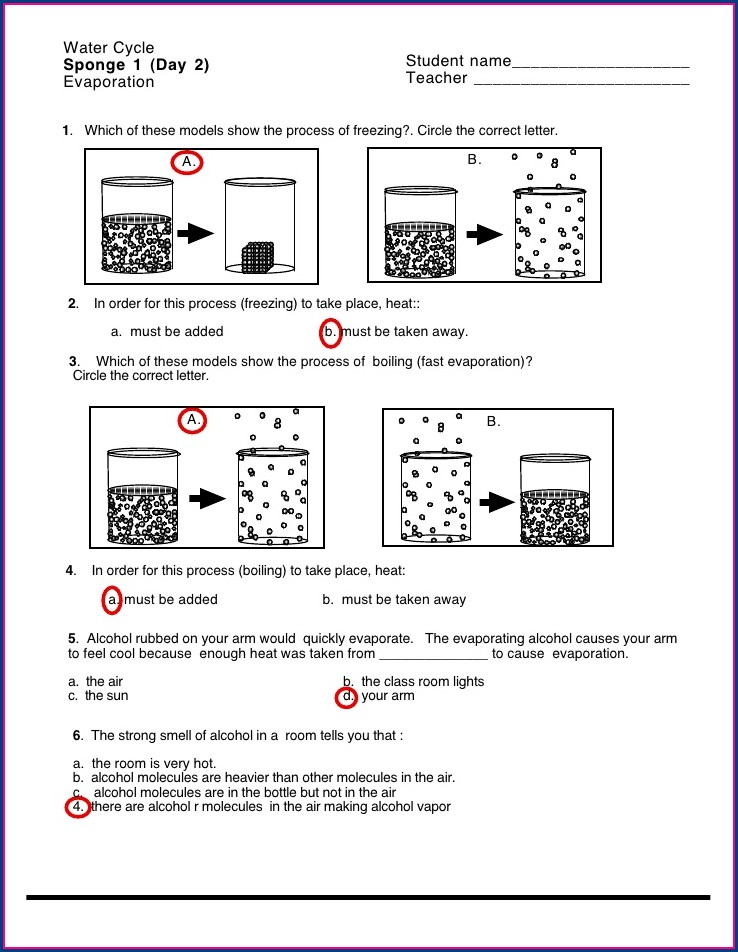 Illustrate The Water Cycle Worksheet Answer Key Worksheet Resume Examples